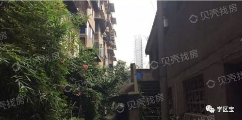 长顺街房价 长顺街房价