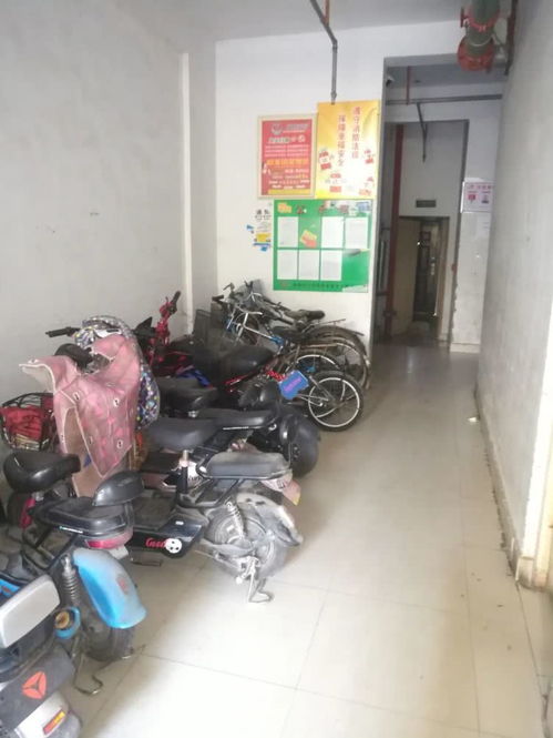 地下室收物业费 地下室收物业费