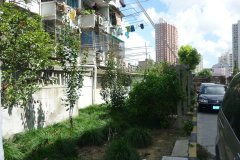 上海浦罡小区 上海浦罡小区