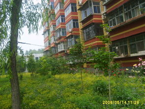 小区绿化照片 小区绿化照片