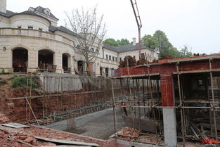 房子被冻结怎么解决