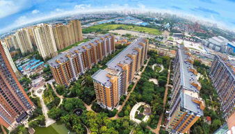 睢宁双沟在售楼楼盘