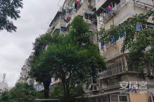 莺虹苑二手房 莺虹苑二手房