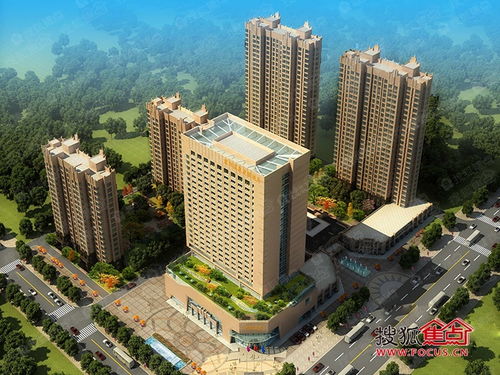 衡水最近开盘的楼盘