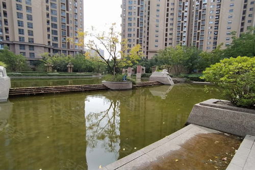 太原双喜城二手房