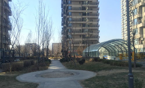 格林常青藤物业 格林常青藤物业