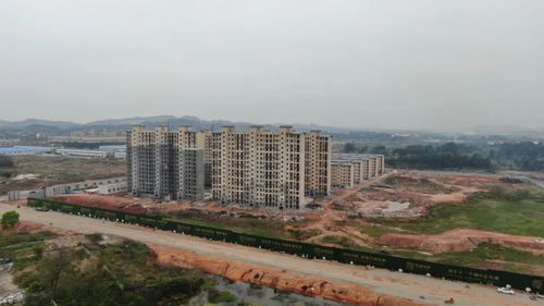 江西南丰最新房价