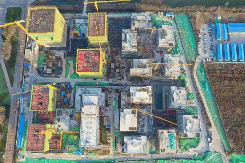 德州哪个楼盘比较火