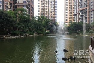 富力桃园 物业电话