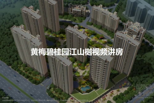 黄梅最火的楼盘