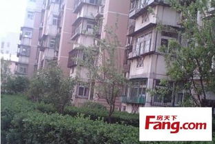 塘沽新河街二手房