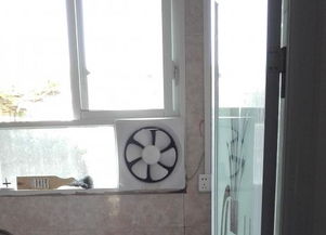 崇州金鸡附近房子出租