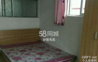 邢台沙河租房子