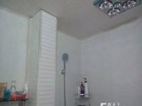 焦作温县租房子