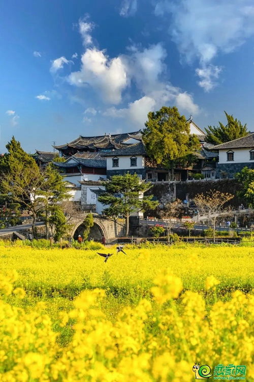 云南腾冲和顺古镇房价