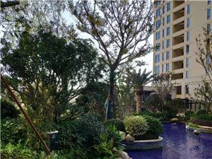 宁海斗门张房子出租